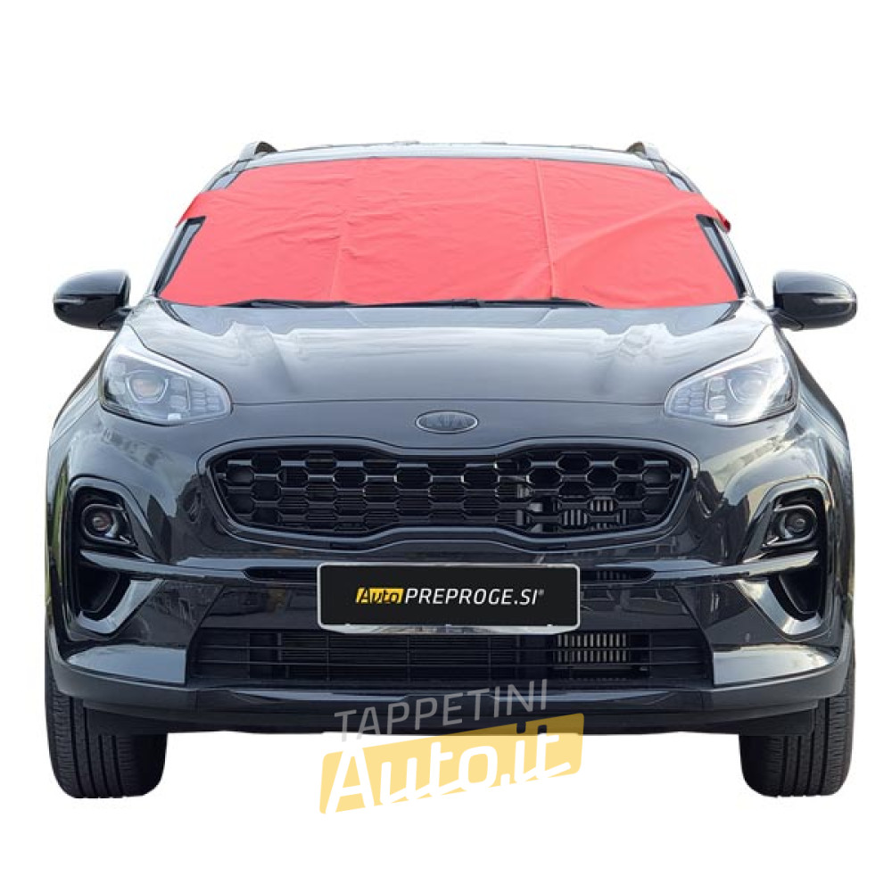 Set invernale - Spazzola telescopica con raschiaghiaccio e pala da neve pieghevole